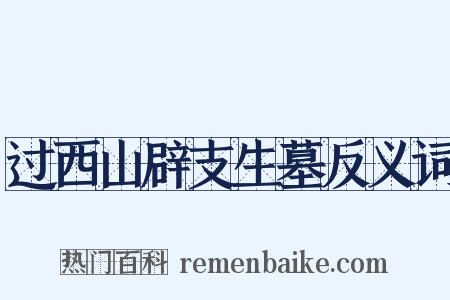 过西山辟支生墓反义词是什么意思的图片